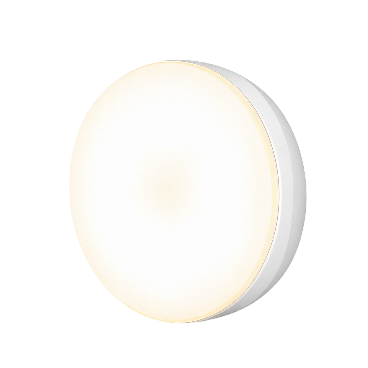Motion Sensor Light