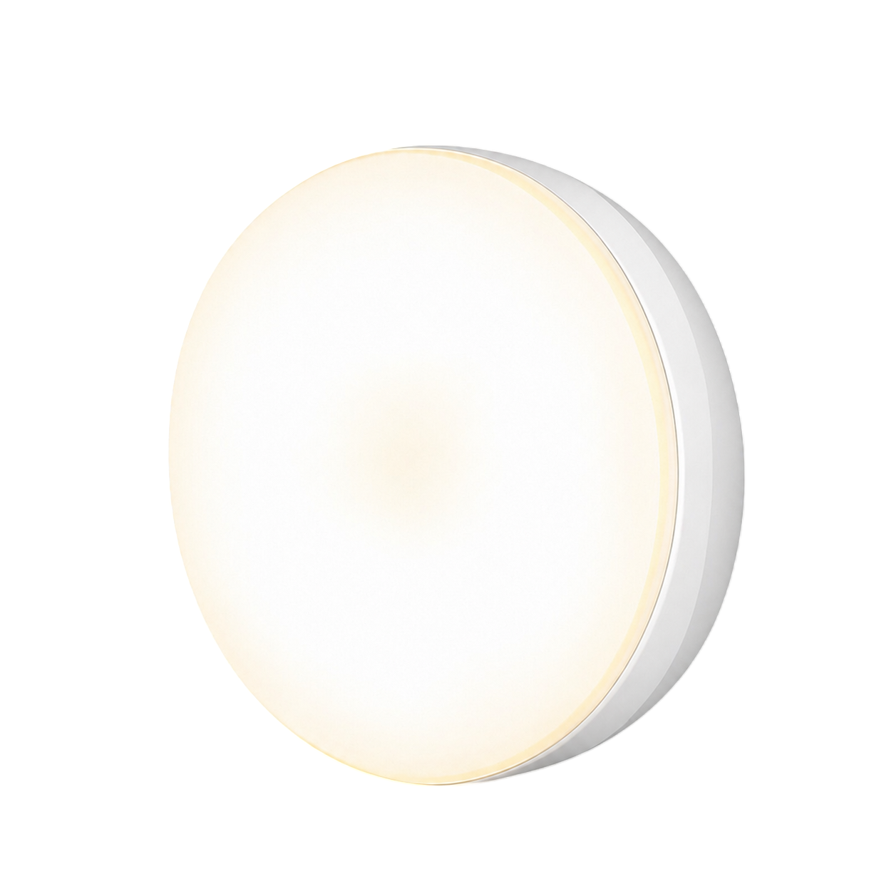Motion Sensor Light