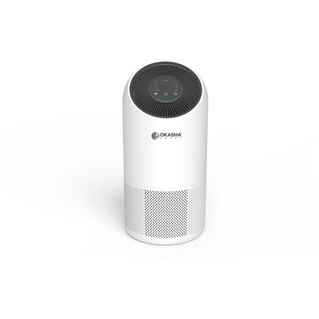 Smart Air Purifier X300
