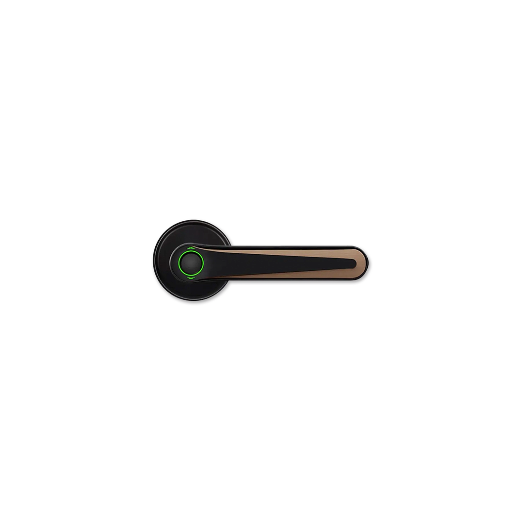 Smart Door lock E610