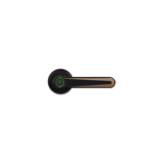 Smart Door lock E610