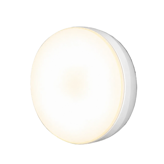 Motion Sensor Light