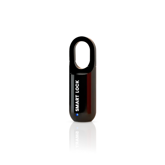 Smart Padlock E90